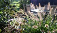 Gartengestaltung Boppard